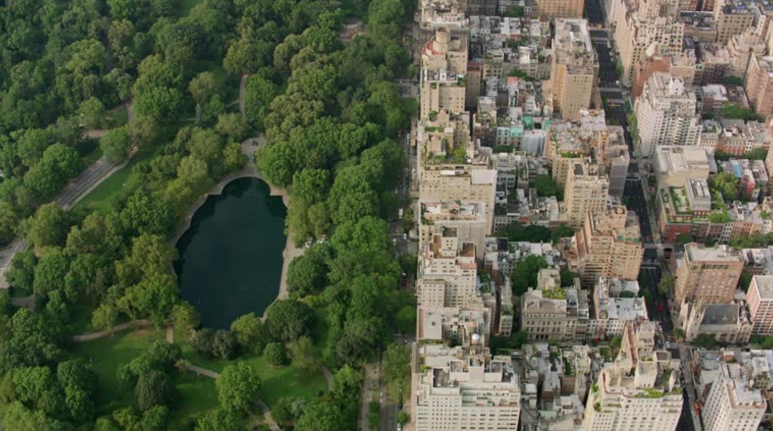 5th Ave New York City Central park