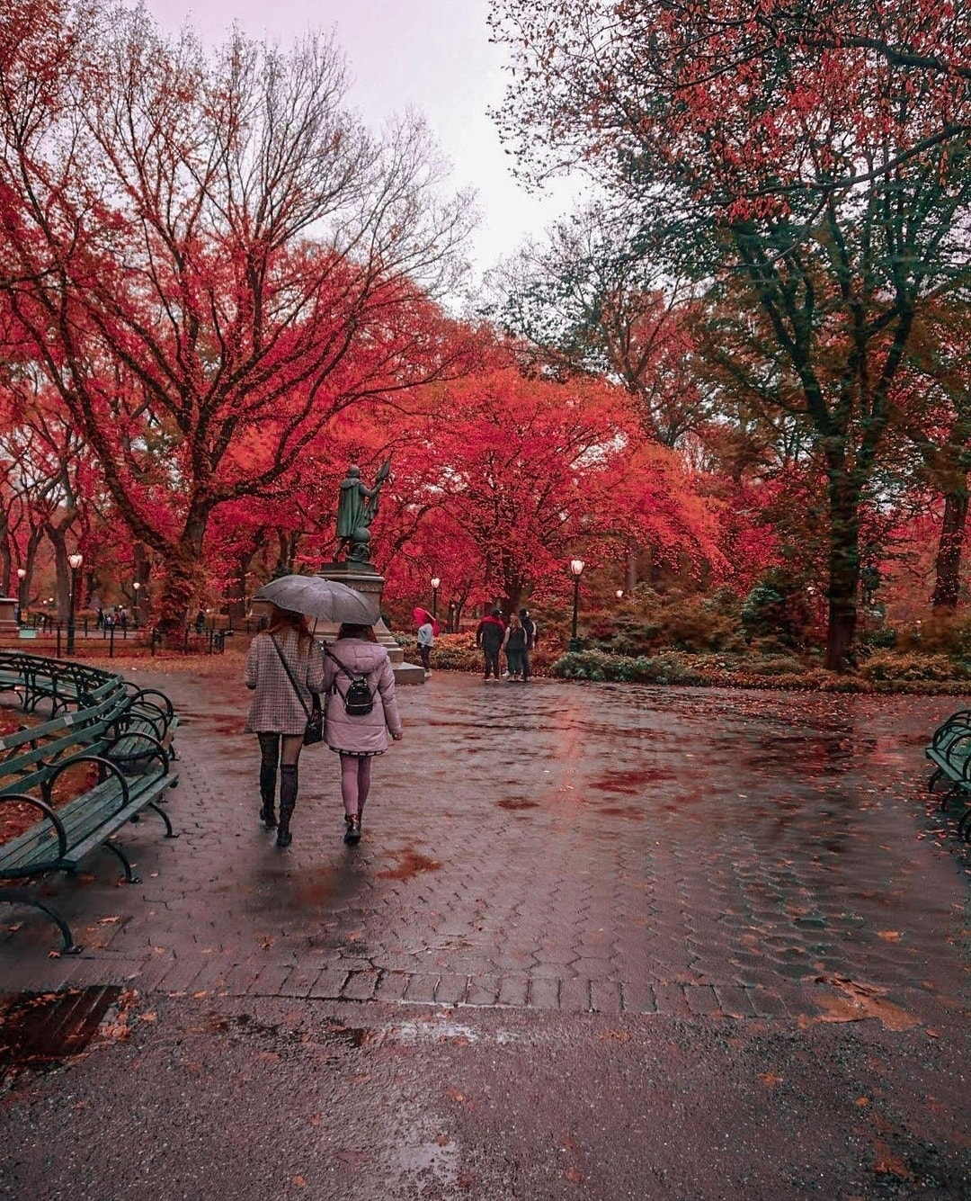 Autumn in Central park