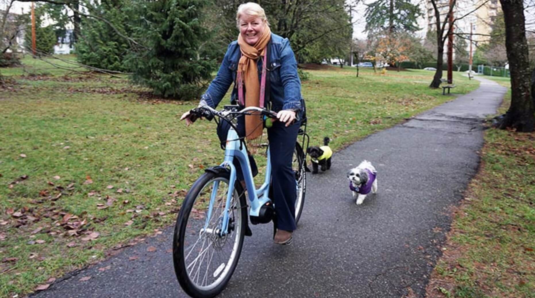 Central Park Electric Bicycle