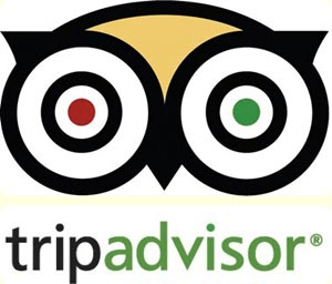 Central park tours TripAdvisor