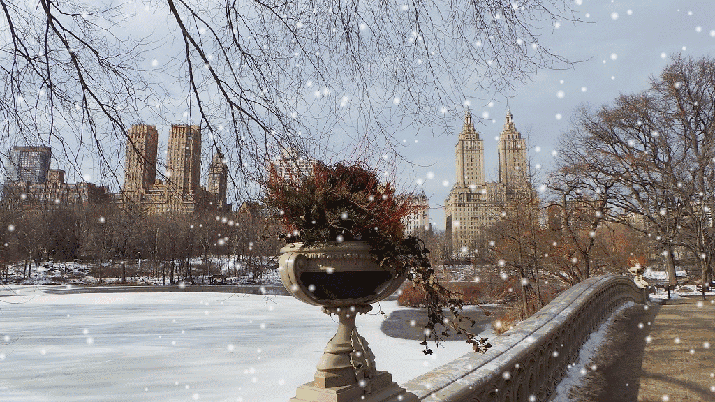 Central park New York City Let it snow